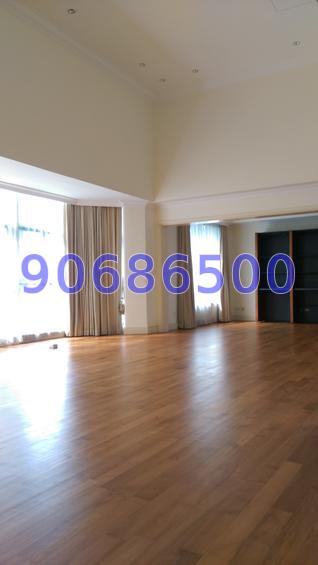 Heritage Apartments (D10), Condominium #67079652